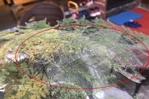贴标机国产精品中文字幕视频专业专注，精益求精