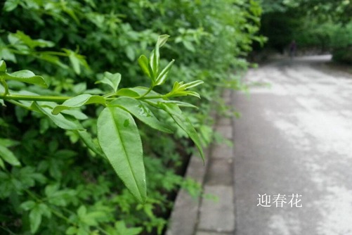 封箱机欧美三级无码yy44880在线创新驱动，持续发展