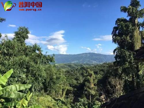 眼睛用途黑人一区二区三区久久，眼睛——我们的多功能导航仪
