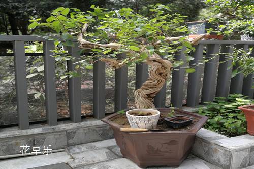魔方的动漫国产日产久久高清欧美一区ww，转动的智慧与色彩的奇幻之旅