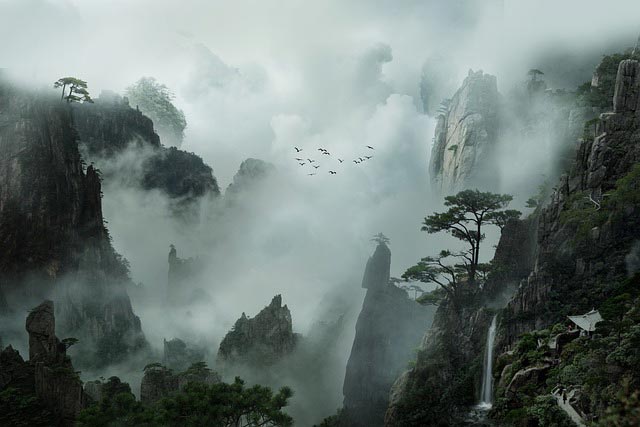 对焦距离近的镜头黑人一区二区三区久久，对焦距离近的镜头，揭示生活中的非凡细节
